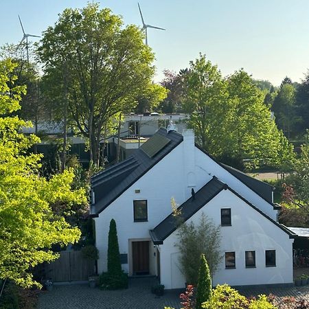 Nummer 151 Villastudios Hasselt Exterior foto